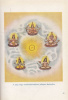 Weninger Antal : A keleti jóga - India misztikája és ősi gyógymódja