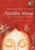 Boldizsár Ildikó : Amália álmai
