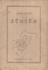 Szép Ernő : Zümzüm (Aláírt, számozott példány)