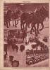 Pesti Napló 1931. febr.22. - Vasárnapi Képes Műmelléklet