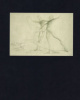 Gerszi Teréz (Ed.) : Dürer to Dalí - Master drawings in the Budapest Museum of Fine Arts