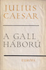 Caesar, Julius : A gall háború