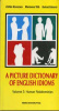 Kövecses Zoltán - Tóth Marianne - Babarci Bulcsú : A Picture Dictionary of English Idioms Vol. 2.