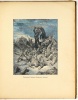 Rabelais, [François] - Komor András : Az óriás Gargantua és Pantagruel élete és kalandjai. Rabelais könyvéből fiatal barátainak írta Komor András. Gustave Doré rajzaival.