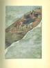 Shakespeare, William : SHAKESPEARE'S COMEDY OF THE TEMPEST - Edmund Dulac, Illustrator