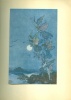 Shakespeare, William : SHAKESPEARE'S COMEDY OF THE TEMPEST - Edmund Dulac, Illustrator