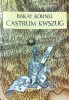 Bakay Kornél : Castrum Kwszug - A kőszegi felsővár és a milléniumi kilátó