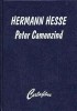 Hesse, Hermann : Peter Camenzind