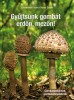 Locsmándi Csaba - Vasas Gizella : Gyűjtsünk gombát erdőn, mezőn!