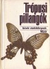 Mészáros Zoltán : Trópusi pillangók