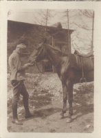 Wolfsbach 1916  [Északi harctér]