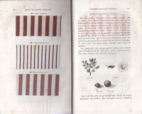Schützenberger, M. P. : Traité des matières colorantes - comprenant leurs applications à la teinture et a l'impression et des notices sur les fibres textiles, les épaississants et les mordants. Tome Second.