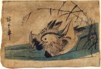 UTAGAWA HIROSHIGE (Ando Hiroshige : (Two Mandarin Ducks.)
