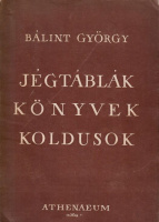 Bálint György : Jégtáblák  könyvek koldusok