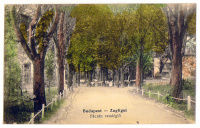 Budapest - ZUGLIGET, Fáczán vendéglő. (1917)