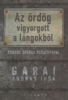 Garai András Júda : Az ördög vigyorgott a lángokból. Pécs-Auschwitz-Kauferin