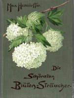 Hesdörffer, Max : Die schönsten Blüten-Sträuche für Garten-Ausschmückung und Treiberei.