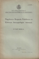 Pálfy Móric : Nagybánya, Borpatak, Felsőbánya és Kisbánya bányageológiai viszonyai