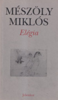 Mészöly Miklós : Elégia