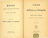 1866 oder Custozza und Königgrätz. Historisch-romantische Enthüllungen aus Oesterreichs neuester Geschichte. Band 1 bis 3.