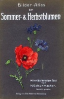 Schuhmacher, H. (Herausg.) : Bilder-Atlas der Sommer-& Herbstblumen