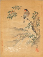 004.     FUKUI KINJIRO : (Oriental Bullfinch.) 