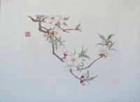 113.     Unidentified artist : (Blossoming Cherry Tree Branch.)