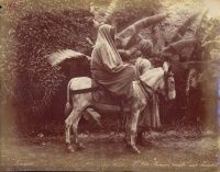 040.     ZANGAKI (Zangaki Brothers, Constantine and George) : Femme arabe sur baudet. Cca. 1885.