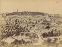 78.     DAMIANI : Mont de Oliviers – Mount of Olives, Jerusalem, cca. 1880.