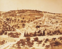 096.     ZANGAKI (Zangaki Brothers, Constantine and George) : Jerusalem. Mont des Oliviers. Cca. 1880.
