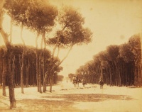 253.     BONFILS, (FÉLIX) : Promenade des Pins á Beyrouth [Promenade in pine forest at Beirut], cca. 1880.