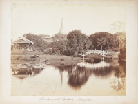 257.     JACKSON J. : Cantonment Gardens, Rangoon, cca. 1868.