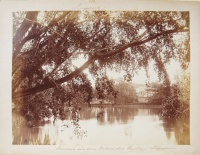 267.     UNKNOWN - ISMERETLEN : Singapore – Scenerie aus dem Botanischen Parken. [Scenery from the Botanical Garden], cca. 1880.