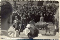 240. [Május 1-jei felvonulás Miskolcon, 1951.] [3 db fotó.]<br><br>[1 May procession in Miskolc, 1951.] [3 pcs photos.]
