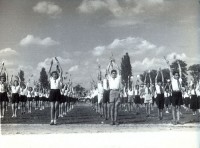 211. 1948. május. Úttörő eskütétel a diákstadionban [Sokszorosított riportfotó.]<br><br>[May 1948. pioneer oath in the student stadion.] [Mimeographed photo reportage.]