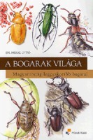 Merkl Ottó : A bogarak világa - Magyarország leggyakoribb bogarai