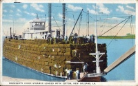 311. Mississippi river steamer loaded with cotton, New Orleans, LA. [képeslap]<br><br>[postcard] : 