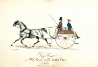 353. Dog-Cart de Mrs. Duan et fils Talbot Street á Dublin. [kézzel színezett litográfia]<br><br>[hand coloured lithograph] : 