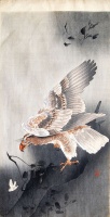 014.     OHARA KOSON : Eagle with Outspread Wings.