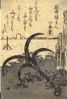 KOMATSU HITOSHI : (Anchor.)